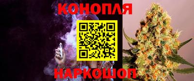 гидра Бузулук